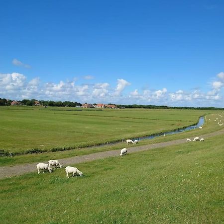 De Oostkamer; Eiland Appartement Naast Natuurgebied Boschplaat Oosterend  Extérieur photo