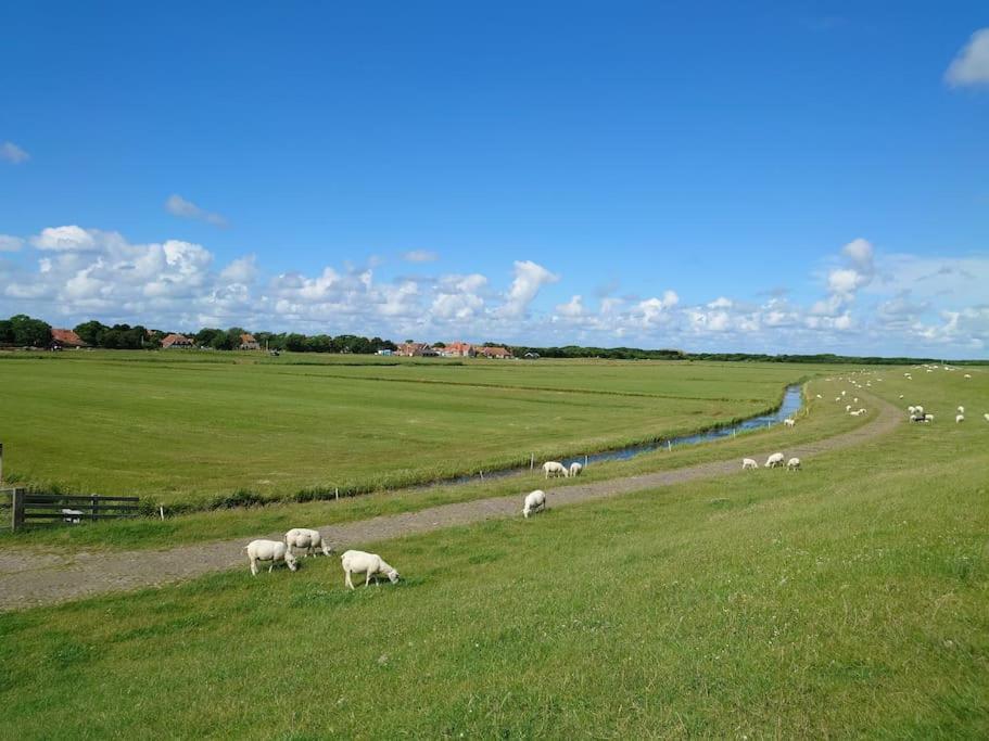 De Oostkamer; Eiland Appartement Naast Natuurgebied Boschplaat Oosterend  Extérieur photo